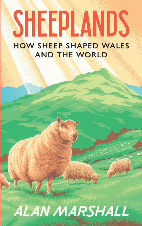 Cover image for book Sheeplands