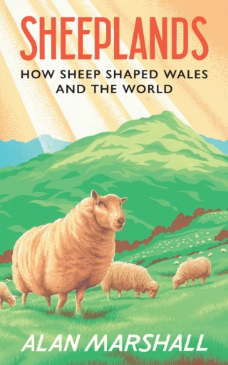 Sheeplands