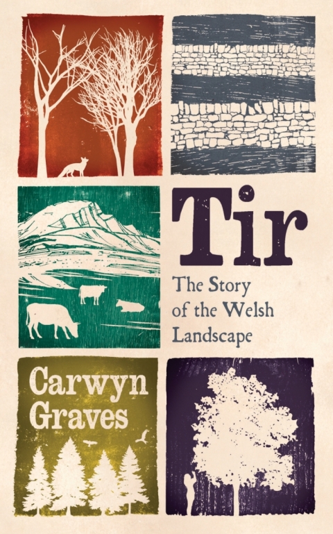 Cover image for book Tir