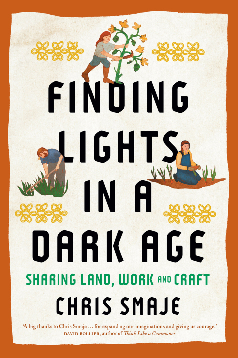 Cover image for book Finding Lights in a Dark Age