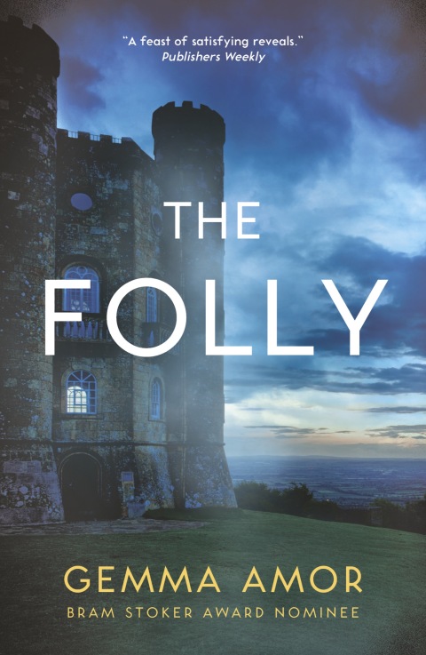 Cover image for book The Folly