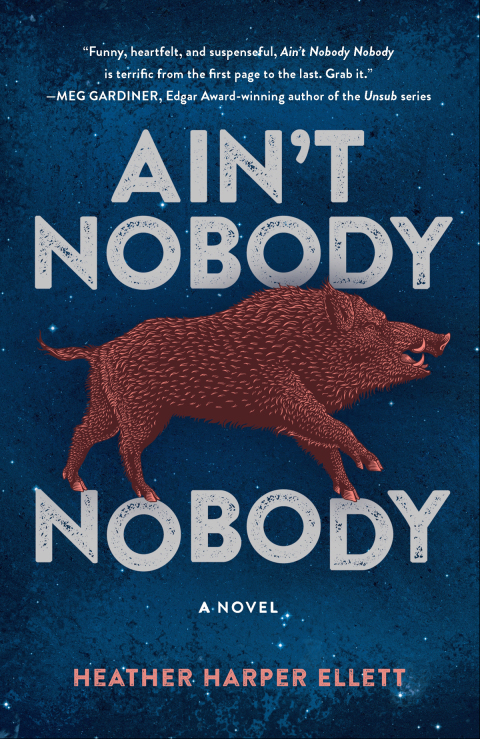 Cover image for book Ain't Nobody, Nobody