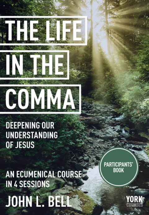 Cover image for book Life in the Comma: Deepening Our Understanding of Jesus