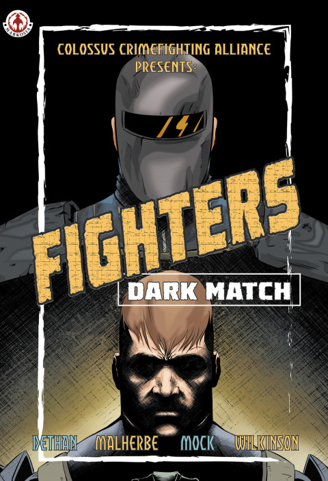 Cover image for book Fighters