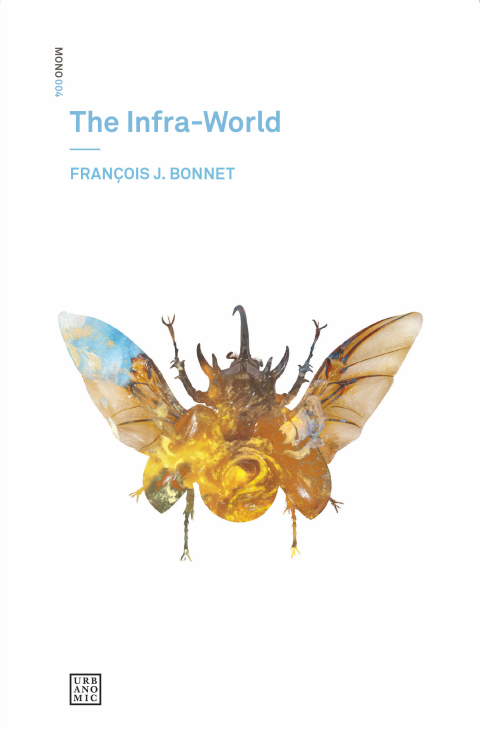 Cover image for book The Infra-World
