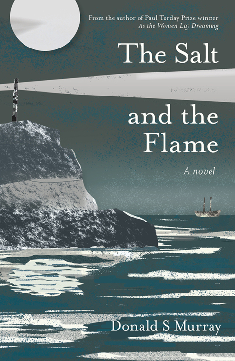 Cover image for book The Salt and the Flame