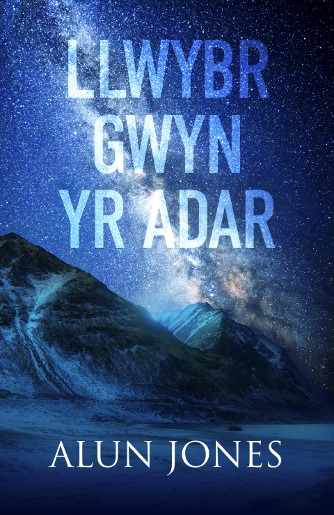 Cover image for book Llwybr Gwyn yr Adar
