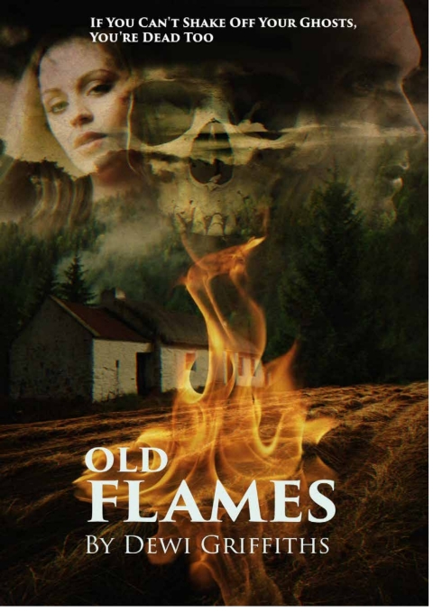 Cover image for book Old Flames