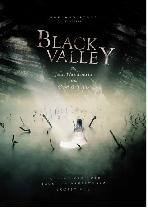 Cover image for book Black Valley
