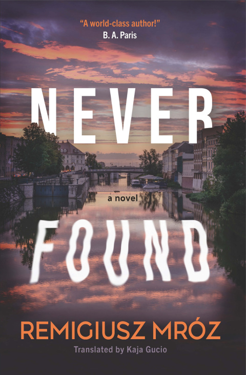 Cover image for book Never Found