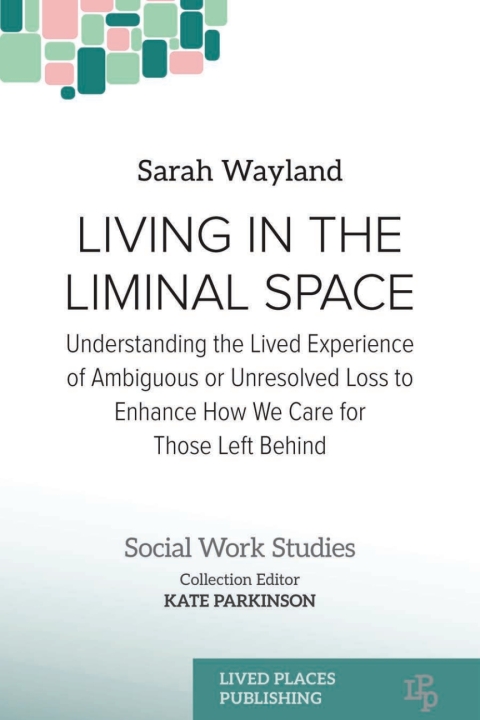 Cover image for book Living in the Liminal Space
