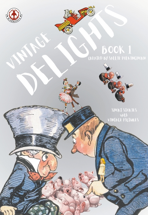 Cover image for book Vintage Delights