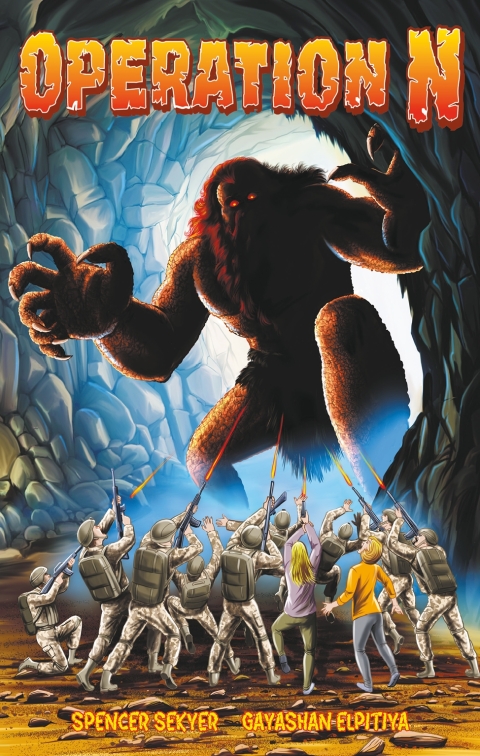 Cover image for book Operation N