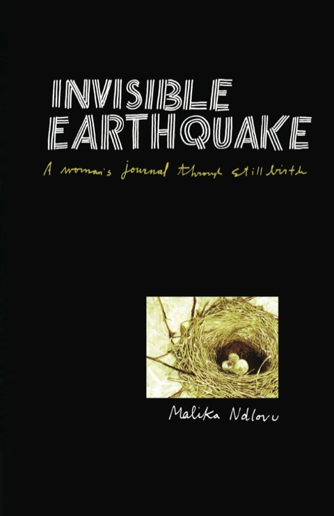 Cover image for book Ndlovu: Invisible Earthquake