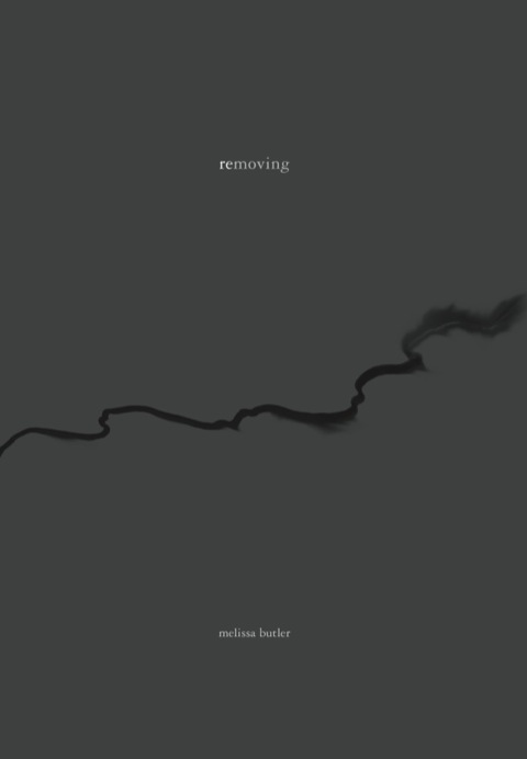 Cover image for book Removing