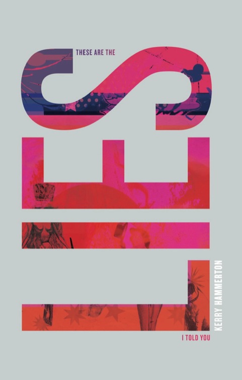 Cover image for book These are the Lies I Told You