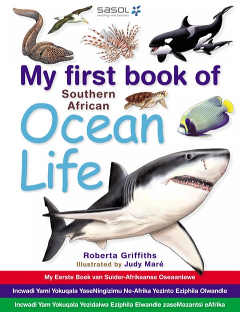 Cover image for book My first book of Southern African Ocean Life