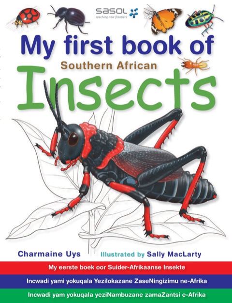 Cover image for book My First Book of Southern African Insects