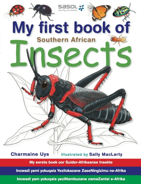 Cover image for book My First Book of Southern African Insects