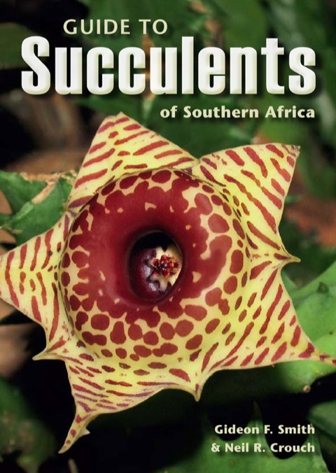 Cover image for book Guide to Succulents of Southern Africa