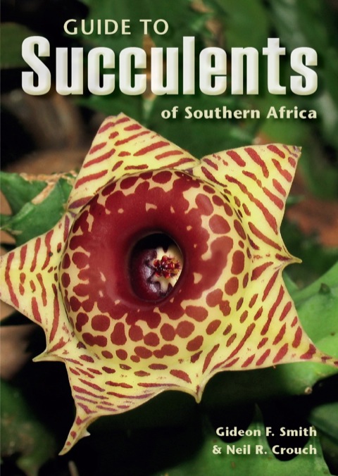 Cover image for book Guide to Succulents of Southern Africa