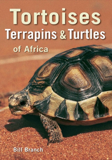 Cover image for book Tortoises, Terrapins & Turtles of Africa