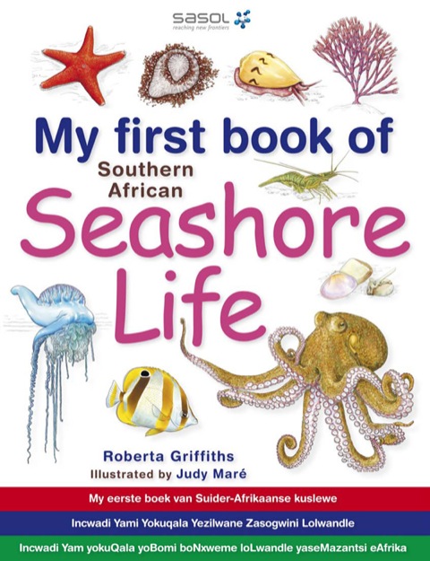 Cover image for book My First Book of Southern African Seashore Life