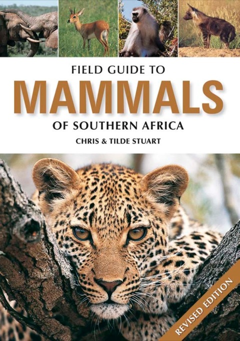 Cover image for book Field Guide to Mammals of Southern Africa