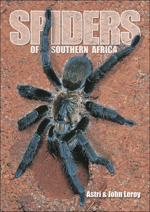 Cover image for book Spiders of Southern Africa