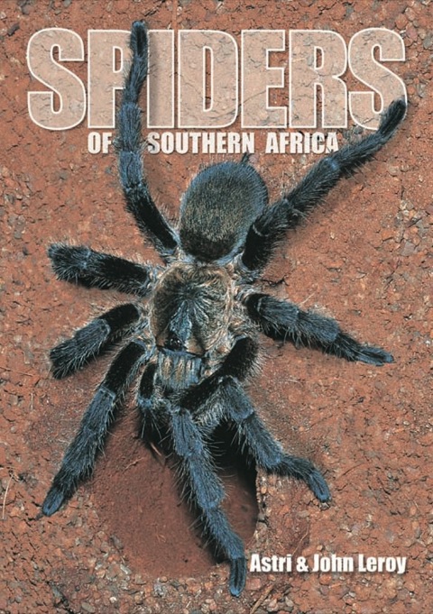 Cover image for book Spiders of Southern Africa