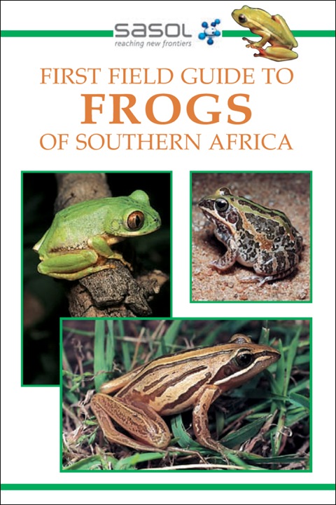 Cover image for book Sasol First Field Guide to Frogs of Southern Africa
