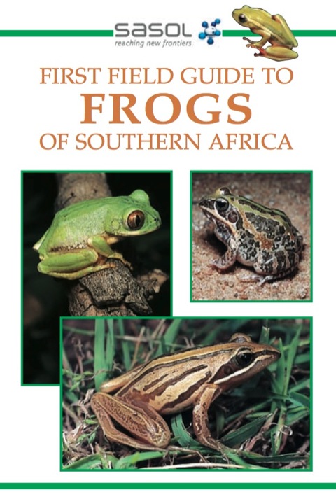 Cover image for book Sasol First Field Guide to Frogs of Southern Africa