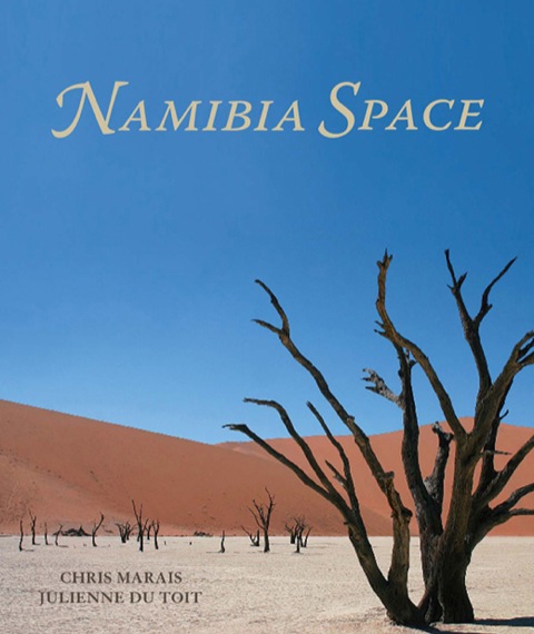 Cover image for book Namibia Space