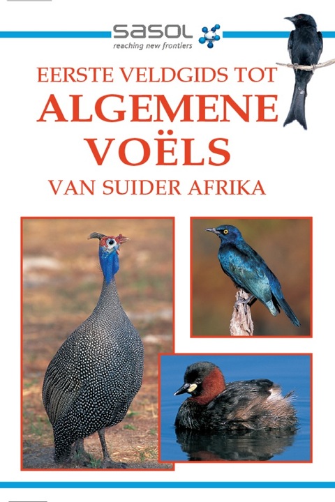 Cover image for book Sasol Eerste Veldgids tot Algemene Voëls van Suider-Afrika