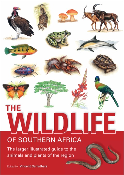 Cover image for book The Wildlife of Southern Africa