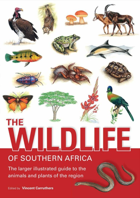 Cover image for book The Wildlife of Southern Africa