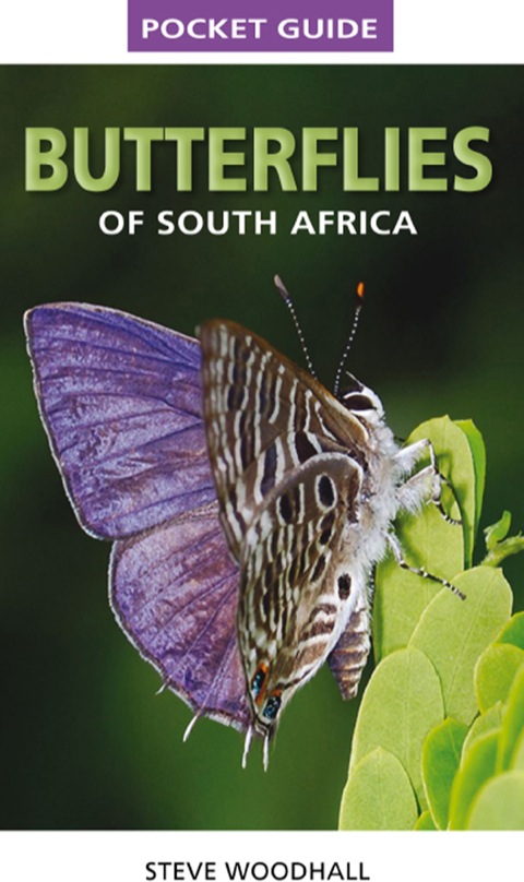 Cover image for book Pocket Guide Butterflies of South Africa