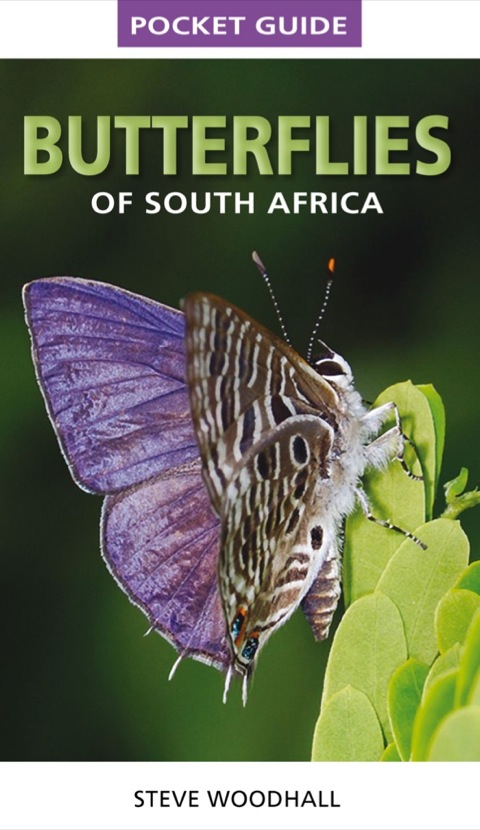 Cover image for book Pocket Guide Butterflies of South Africa