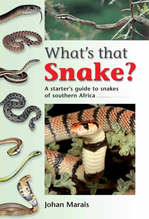 Cover image for book What’s that Snake?