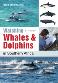 Imagen de portada: Watching Whales & Dolphins in Southern Africa 1st edition 9781770079571