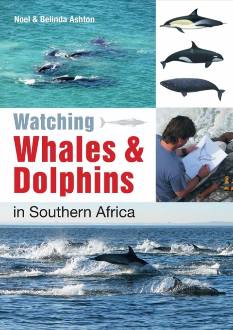 Cover image for book Watching Whales & Dolphins in Southern Africa