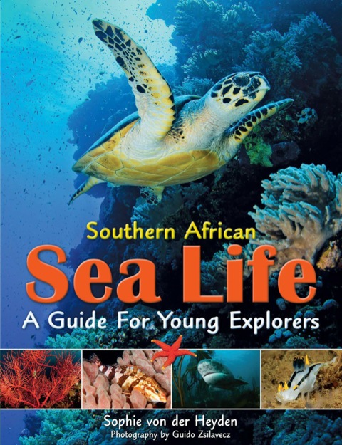Cover image for book Southern African Sea Life - A Guide for Young Explorers