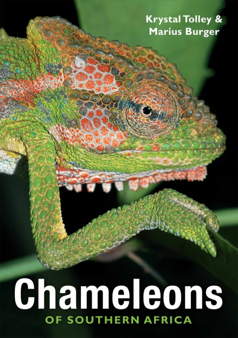 Cover image for book Chameleons of Southern Africa