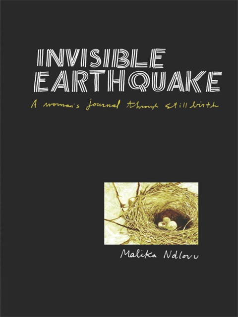 Cover image for book Ndlovu: Invisible Earthquake