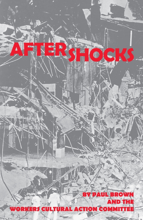 Cover image for book Aftershocks