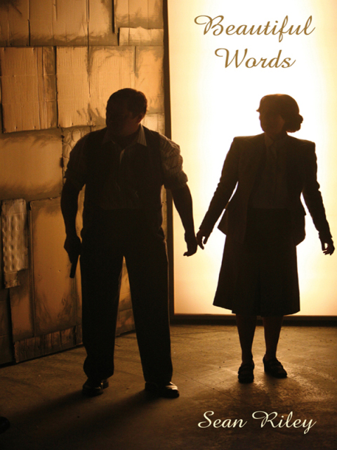 Cover image for book Beautiful Words