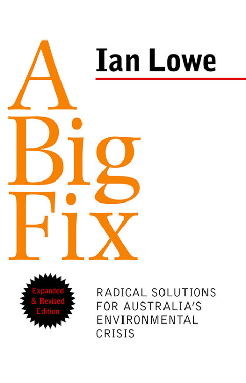 Cover image for book A Big Fix