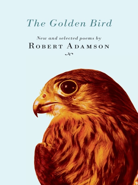 Cover image for book The Golden Bird