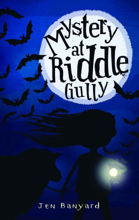Cover image for book Mystery at Riddle Gully