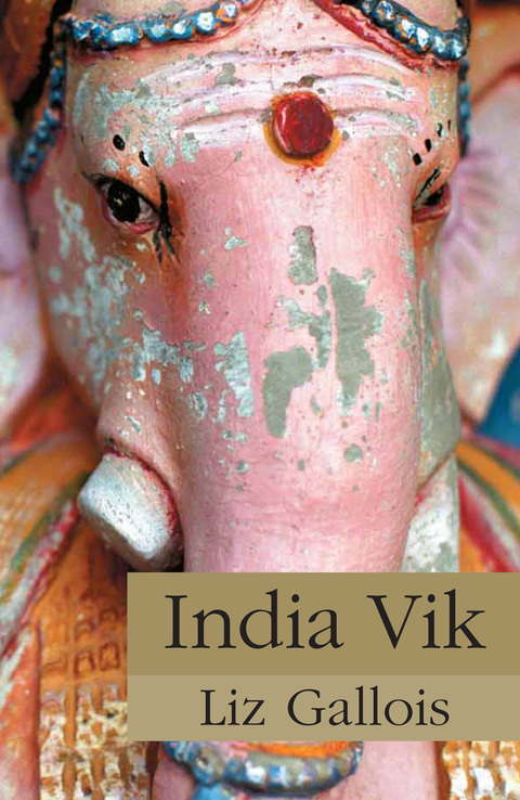 Cover image for book India Vik